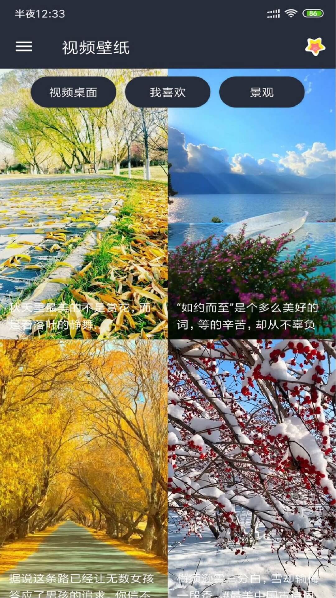 视频壁纸 手机版