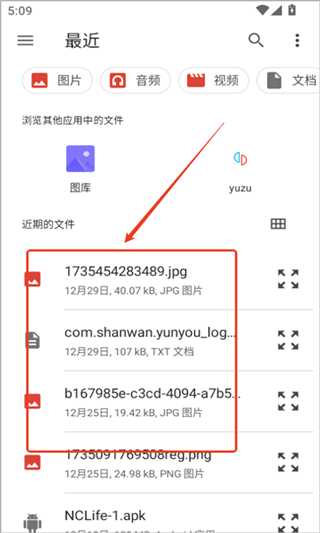 NetherSX2模拟器(图5)