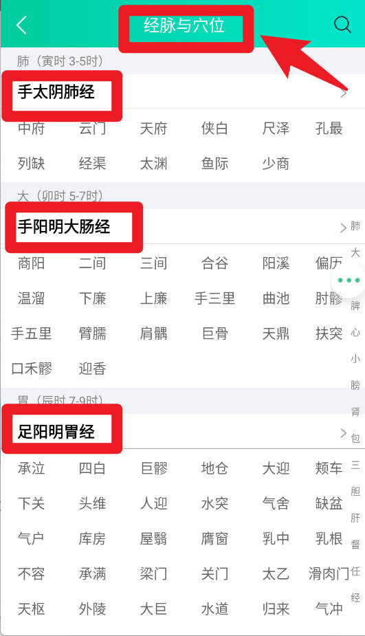 经络穴位图解手机版