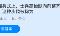 在阅兵式上，士兵高抬腿向前整齐迈步这种步伐被称为