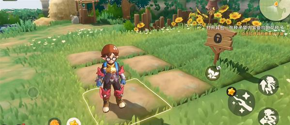 洛克王国世界家园种植玩法攻略3