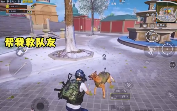 和平精英战斗军犬召唤及功能介绍3