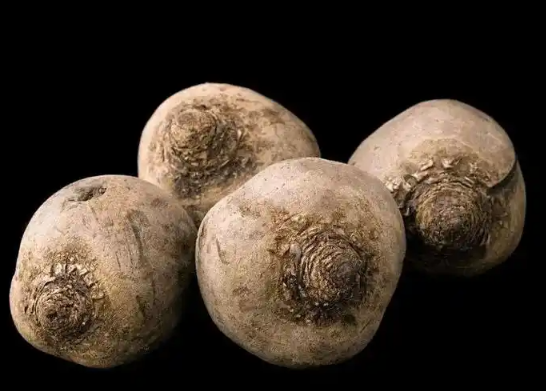 蒟蒻果冻中的“蒟蒻”指的是什么？