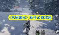 《荒原曙光》新手必看攻略