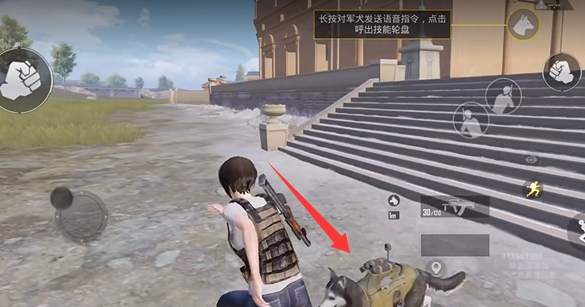 和平精英战斗军犬召唤及功能介绍2