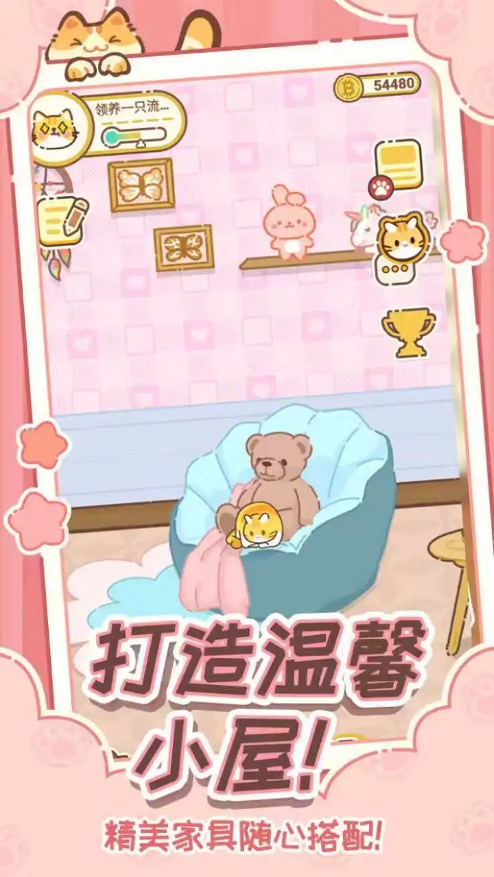 领养一只流浪猫 免广告版(图1)