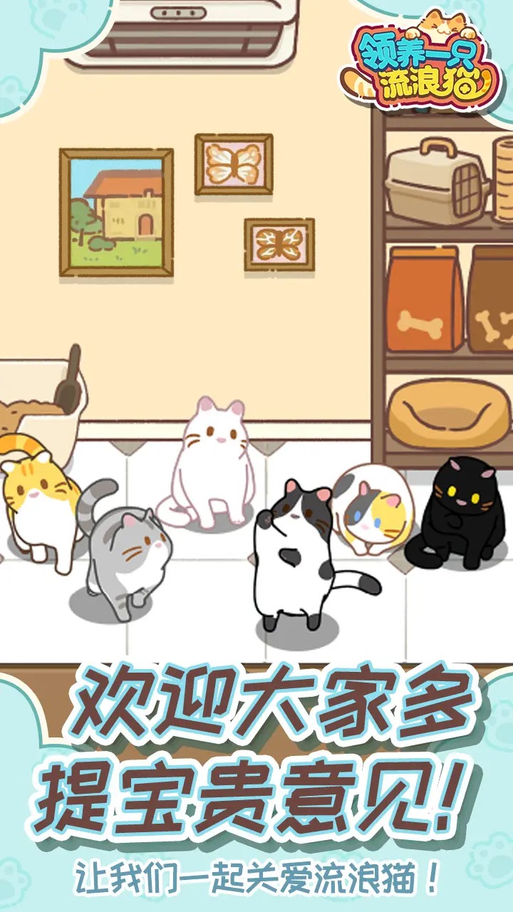 领养一只流浪猫 免广告版(图3)