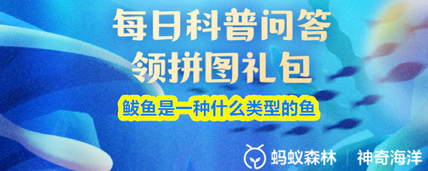 鲅鱼是一种什么类型的鱼(图1)