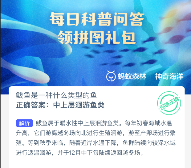 鲅鱼是一种什么类型的鱼(图2)