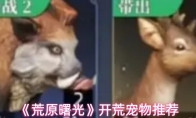《荒原曙光》开荒宠物推荐