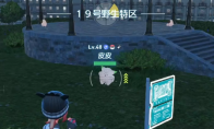 《宝可梦传说 Z-A》19号野区刷闪攻略分享