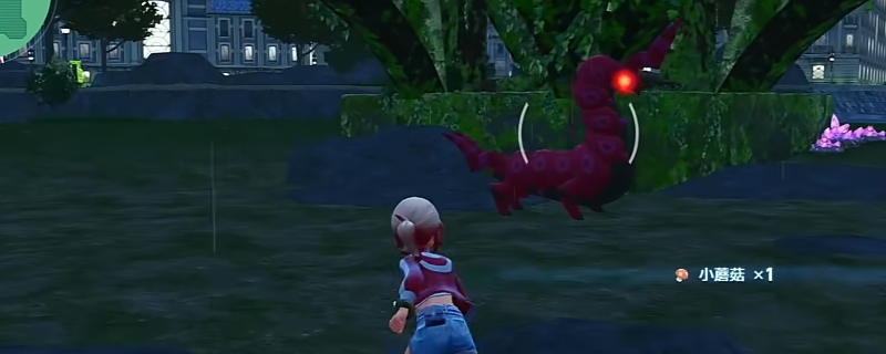 《宝可梦传说 Z-A》20号野区刷头目注意事项分享