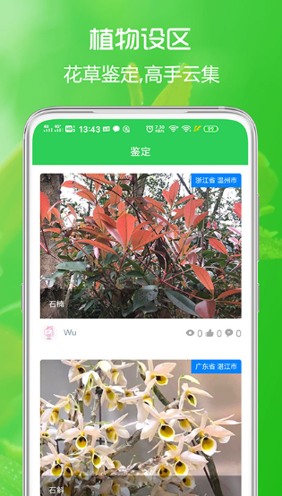 花草日记植物识别(图1)