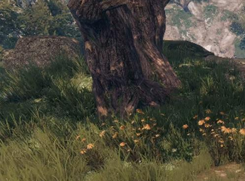 下一站江湖2松木获取攻略3