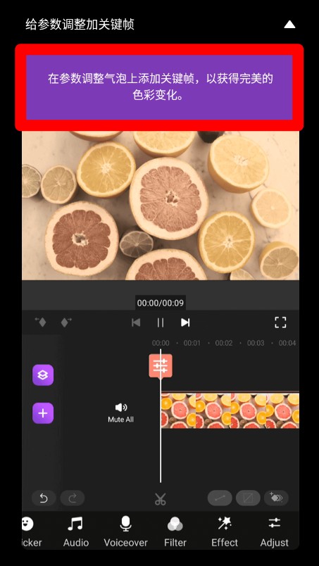 MotionNinja视频编辑器(图5)