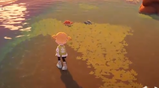 《星布谷地》螃蟹捕捉攻略(图3)