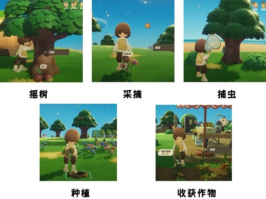 阿奇宝获取攻略4