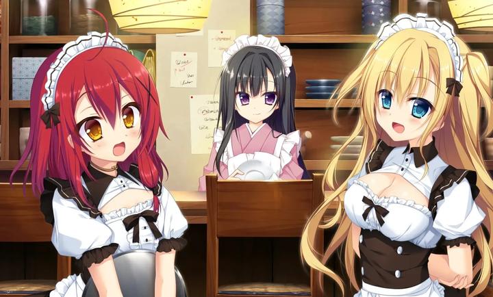 忍者少女与都市妖团 汉化移植版(图3)