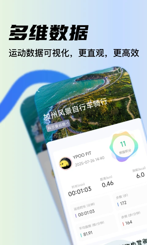 YPOOFIT(图1)