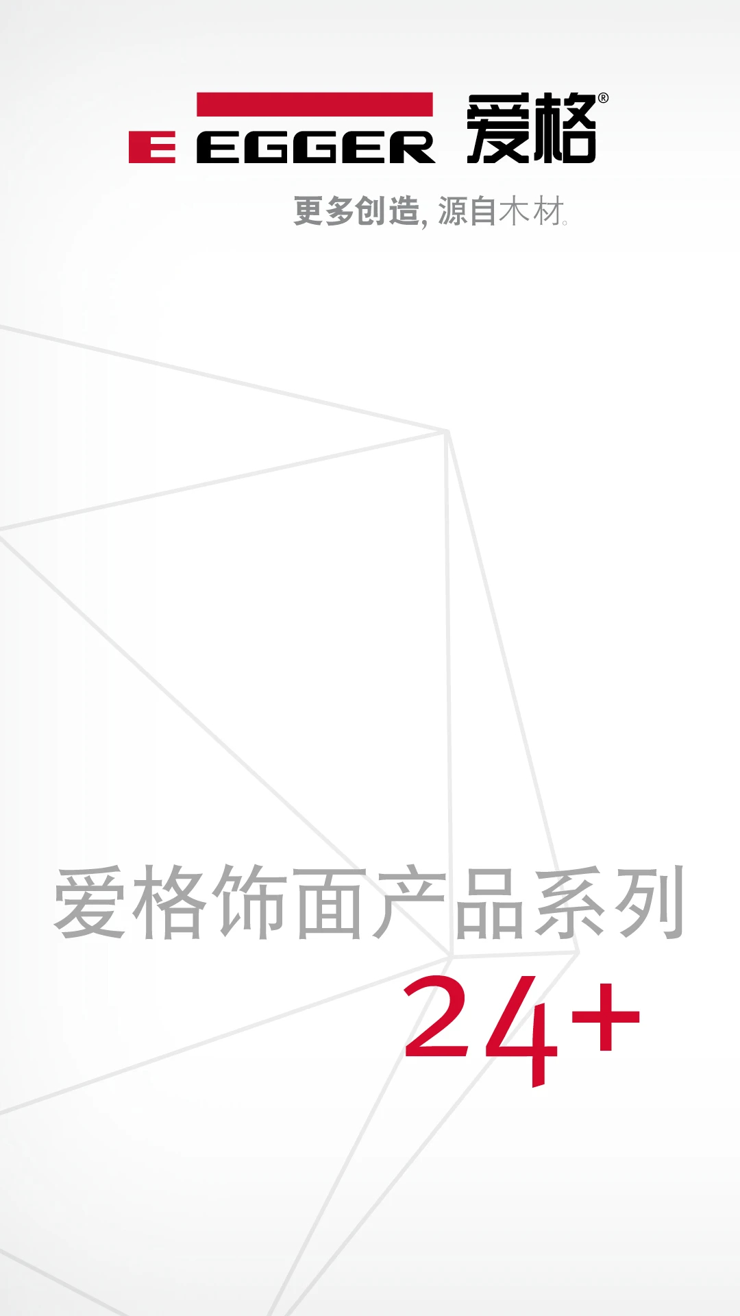 爱格饰面产品系列(图2)