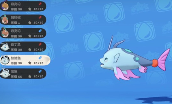 洛克王国世界快鳍鱼获取攻略1