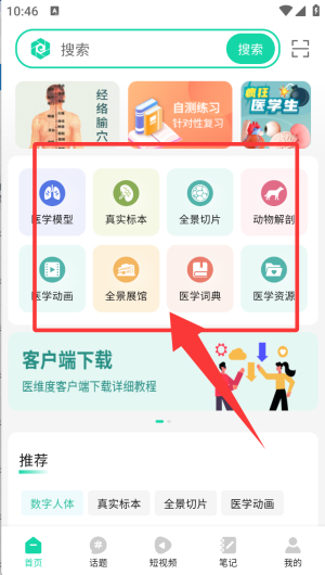 医维度解剖(图3)