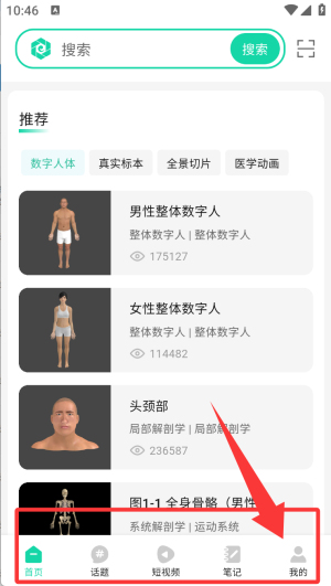 医维度解剖(图5)