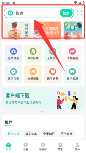 医维度解剖(图2)