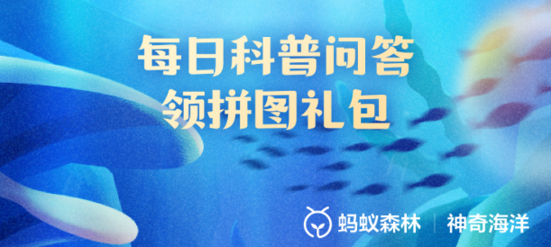 斑胡椒鲷之所以得名是因为(图1)