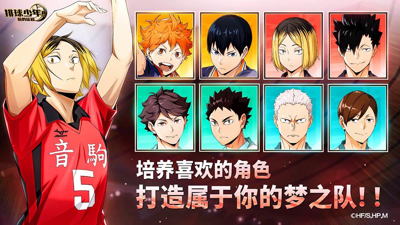 
排球少年新的征程