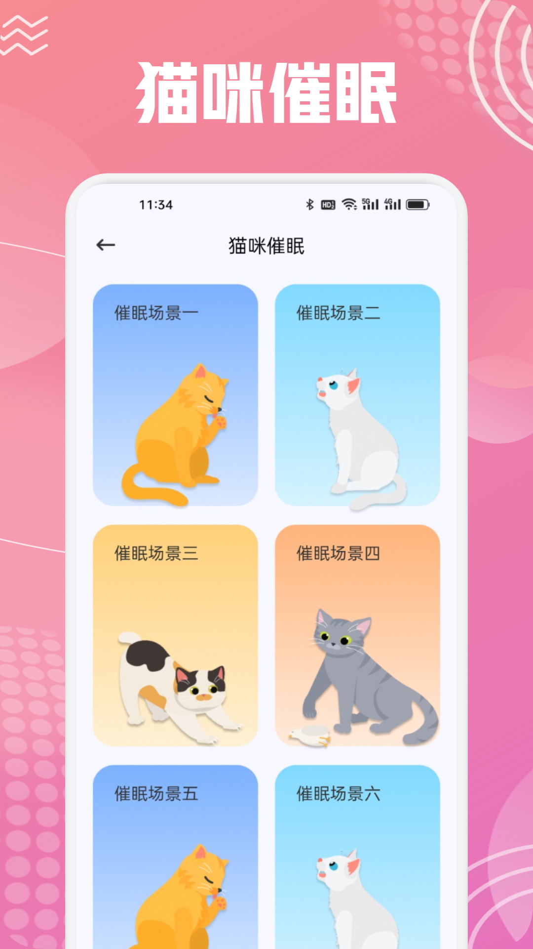 
开心猫舍喵语