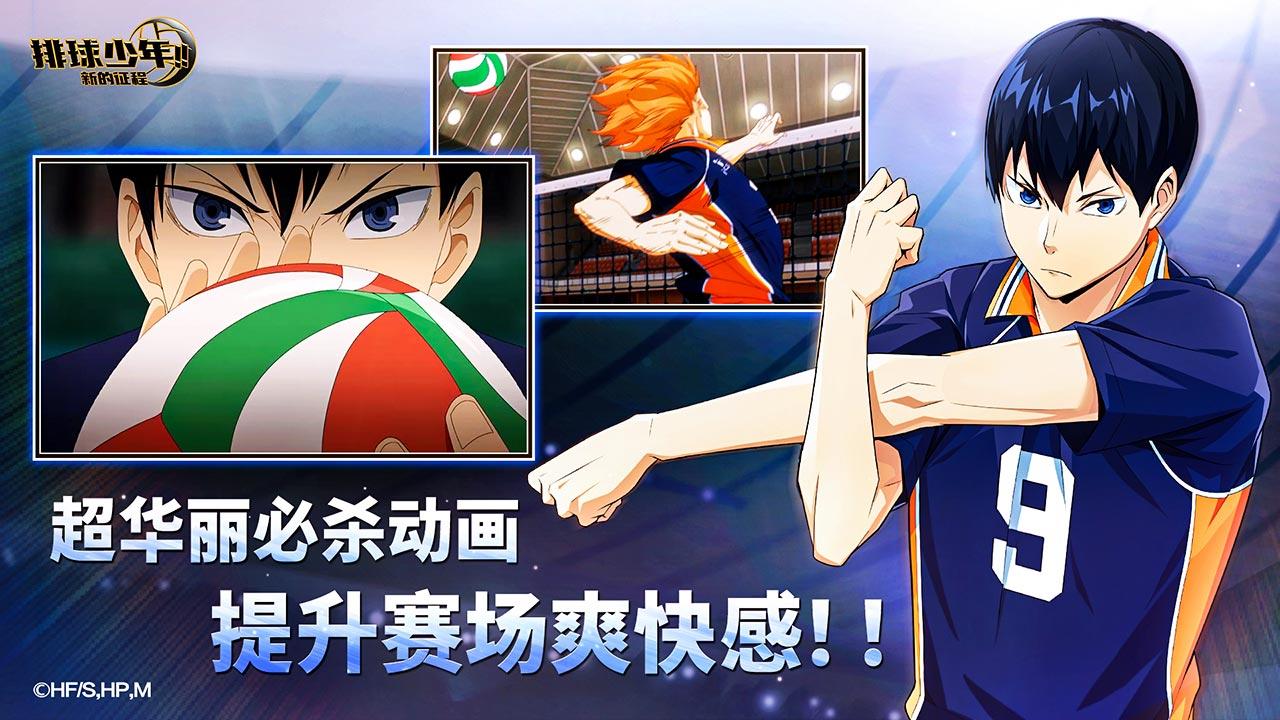 
排球少年新的征程