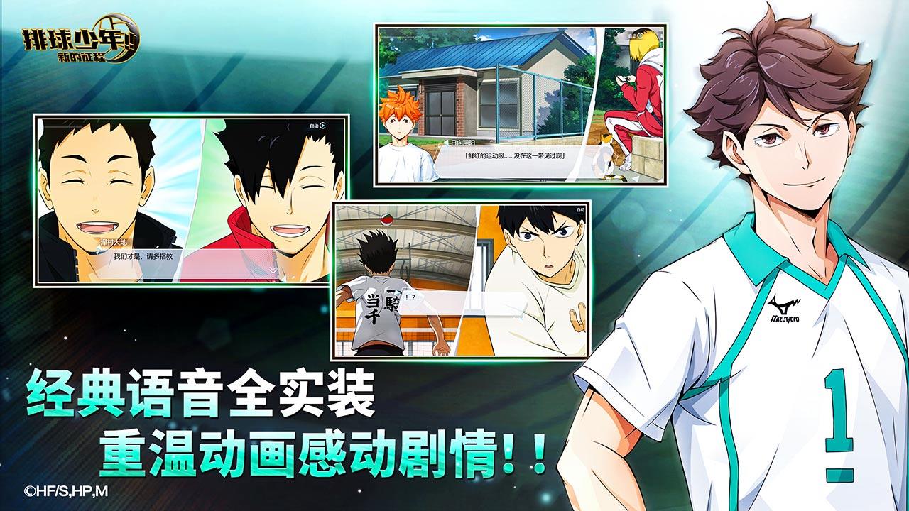 
排球少年新的征程