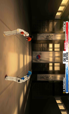 
跆拳道大奖赛 中文版