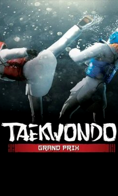 
跆拳道大奖赛 中文版