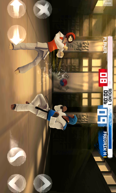 
跆拳道大奖赛 中文版