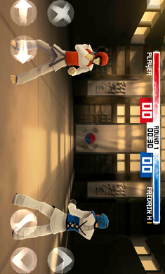 
跆拳道大奖赛 中文版