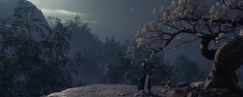 《燕云十六声》郑鄂无名剑法打法分享