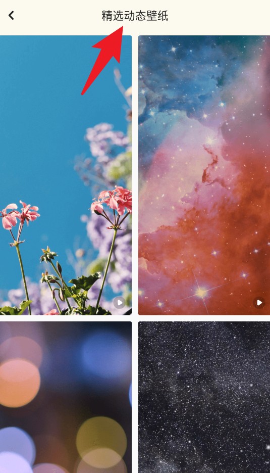 神图壁纸 手机版免费(图4)