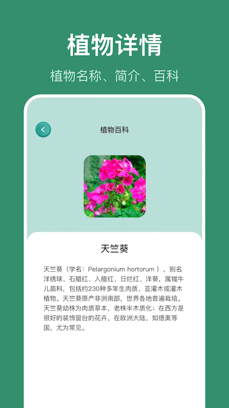 识花草(图2)
