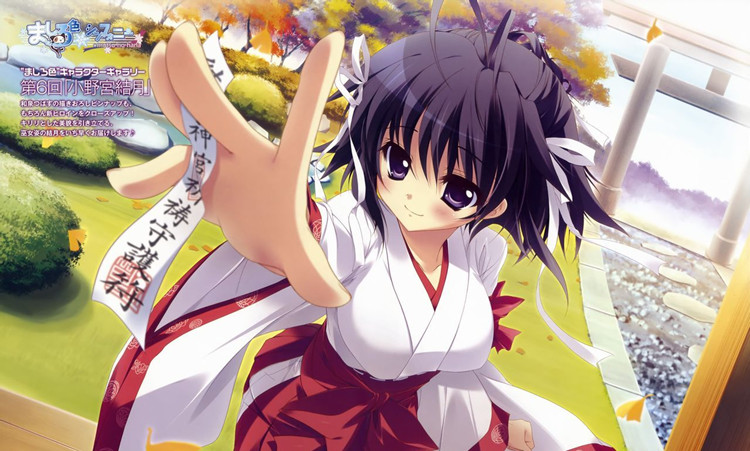 
纯白交响曲 安卓直装版