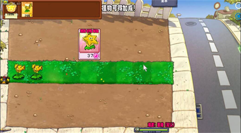 植物大战僵尸杨桃版安卓版