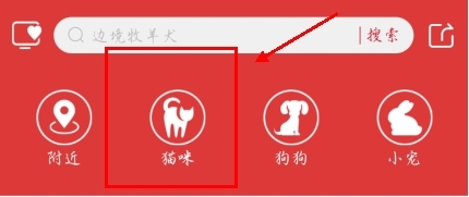 宠物市场app宠物挑选教程