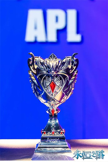 2025年永恒之塔APL全国锦标赛巅峰对决，圆满落幕!