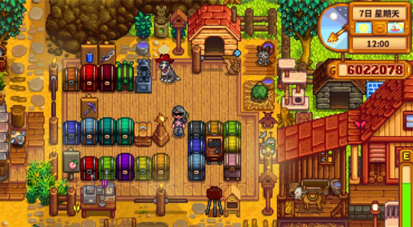 星露谷物语物品整理分区技巧1