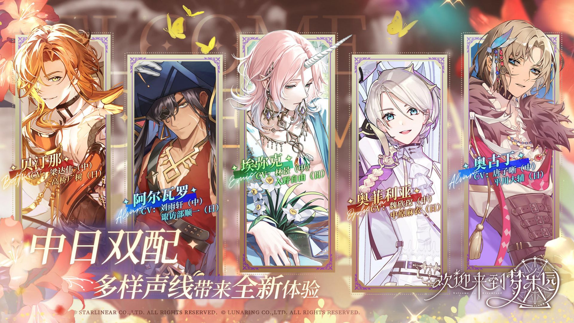 
欢迎来到梦乐园