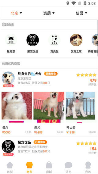 宠物市场 2026最新版(图3)