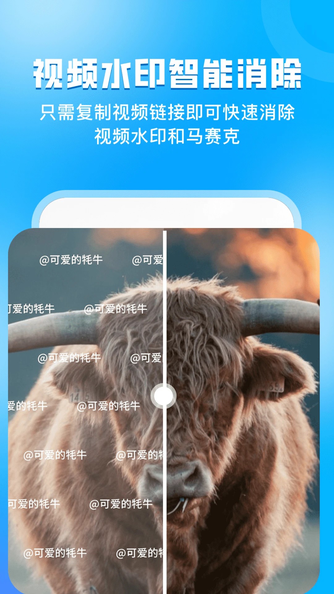 指尖虚拟摄像头(图1)