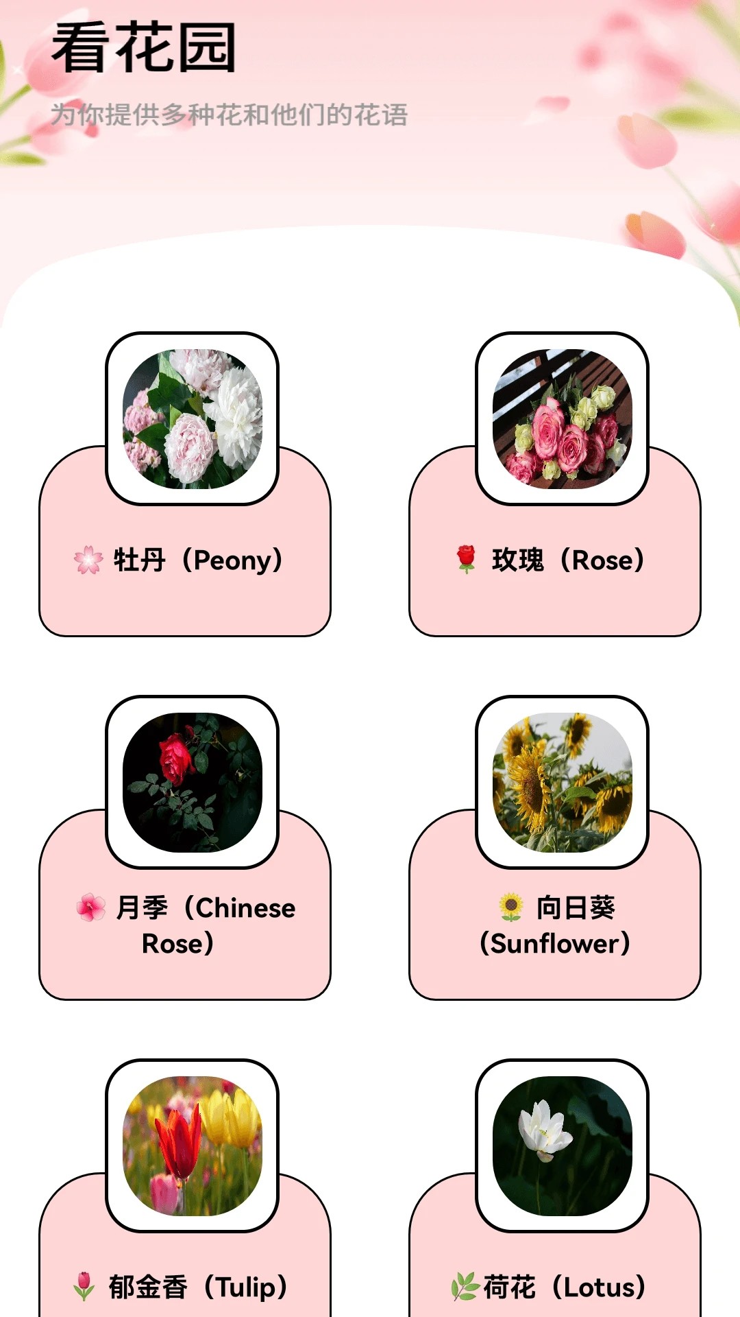 月光短剧 红包版