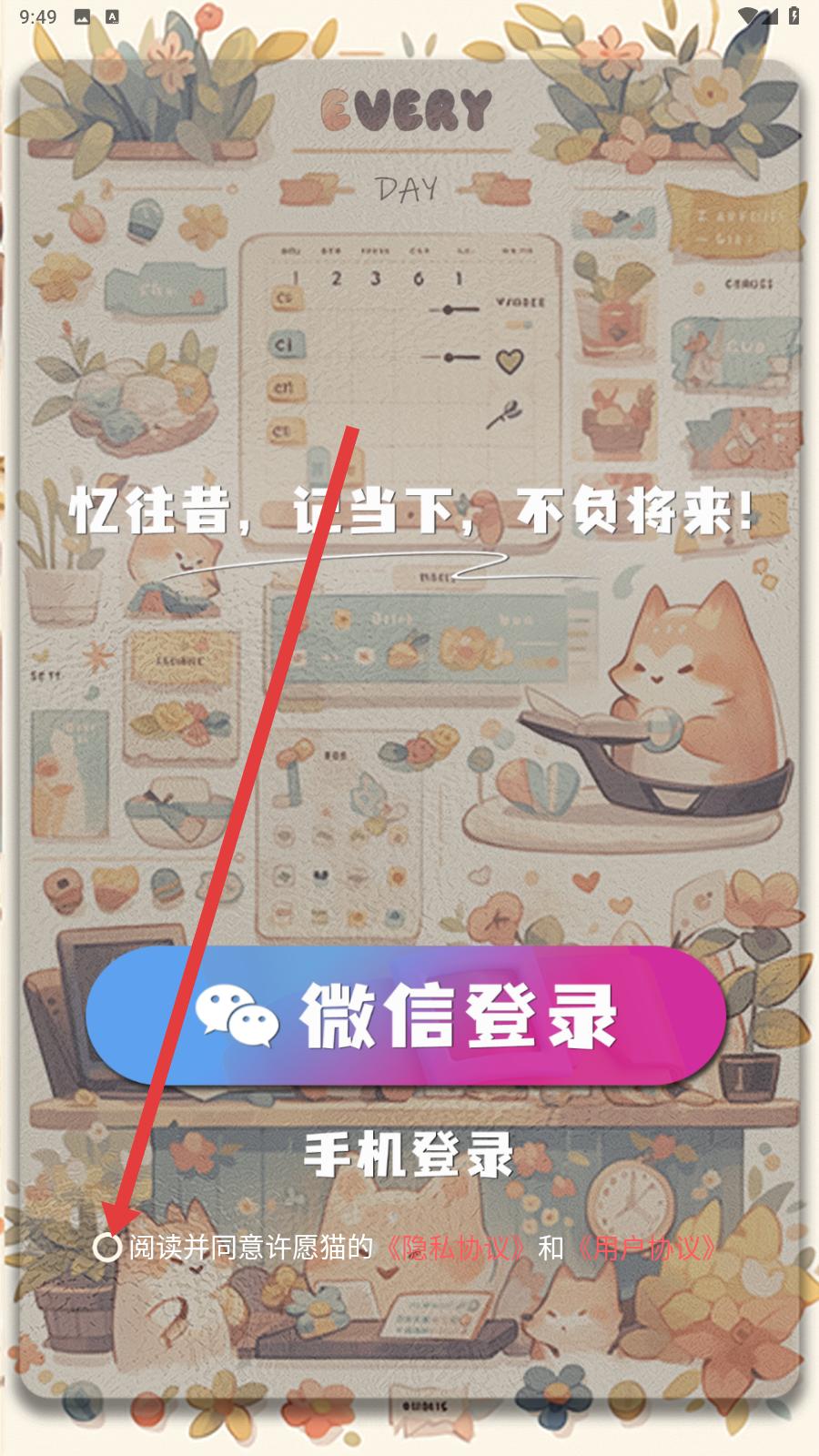 许愿猫 虚拟愿望(图4)